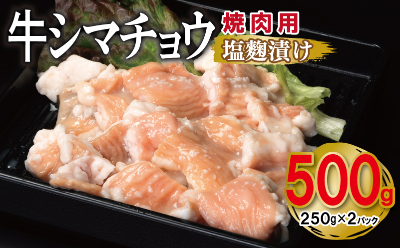 牛シマチョウ 焼肉用 塩麹漬け 500g【味付け 小分け 250g×2P 焼くだけ 簡単調理 BBQ 牛肉 ホルモン お試し】 G3450