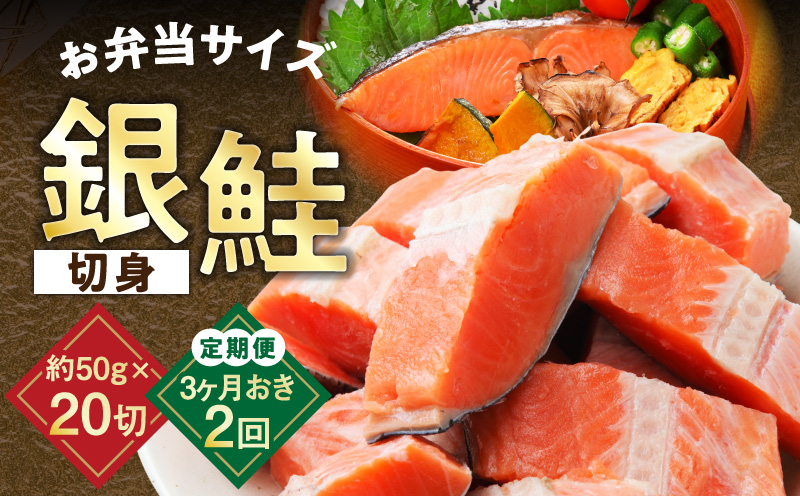 【定期便】銀鮭 切身 約50g×20切れ 全2回【2026年3月＆2026年6月発送 小分け 漁師 手切り 1kg さけ サケ 切り身 弁当 朝食 時短 訳あり サイズ不揃い 規格外 冷凍食品】 G3736