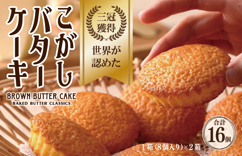 【明治25年創業】こがしバターケーキ 8個×2箱【スイーツ 洋菓子 工場直販 個包装 小分け 専用箱 泉州名産】 G3693