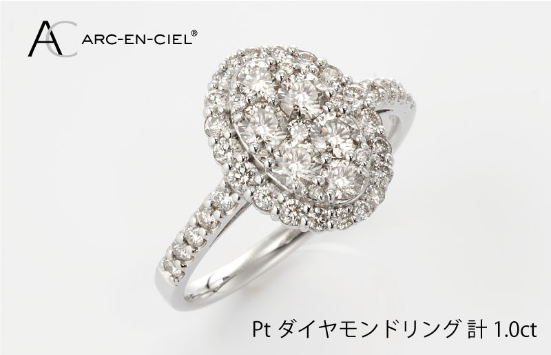 ARC-EN-CIEL プラチナ ダイヤリング（計 1.0ct）【鑑別書付き ジュエリー プレゼント ギフト ファッション アクセサリー 贈り物 贈答 お祝い 記念日】 J003-4