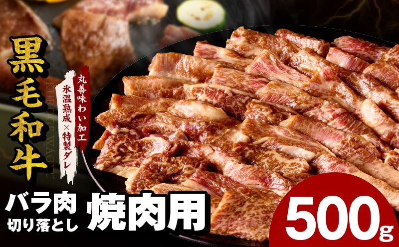 黒毛和牛 バラ 焼肉用 500g【切り落とし 小分け 氷温熟成×特製ダレ 味付け 焼くだけ 簡単調理 BBQ 牛肉】 mrz0306