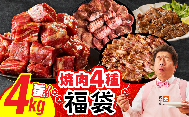 焼肉 福袋 4種 4kg【氷温熟成×特製ダレ 500g 小分け 牛肉 牛タン ヒレ ハラミ バラ 数量限定】 mrz0337