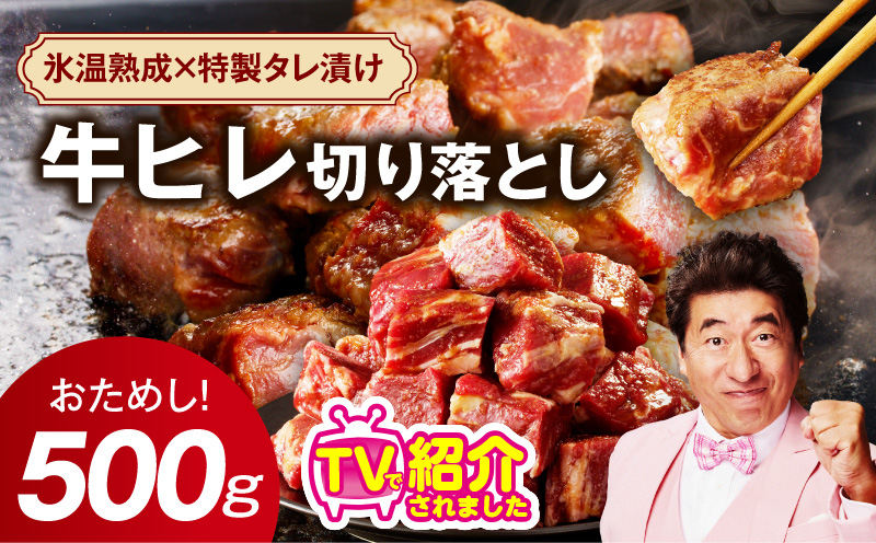 【お試し】牛ヒレ肉 切り落とし 500g【小分け 500g×1P 氷温熟成×特製ダレ サイズ不揃い やわらか ステーキ ひと口サイズ カット済み】 mrz0309