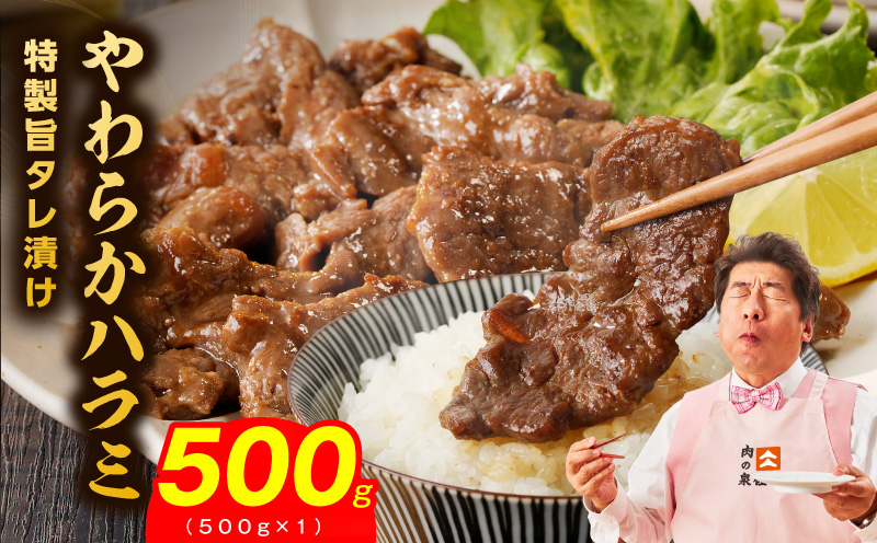 やわらかハラミ 500g【氷温熟成×特製旨ダレ 味付き 訳あり サイズ不揃い 小分け 焼くだけ 焼肉】 mrz0348