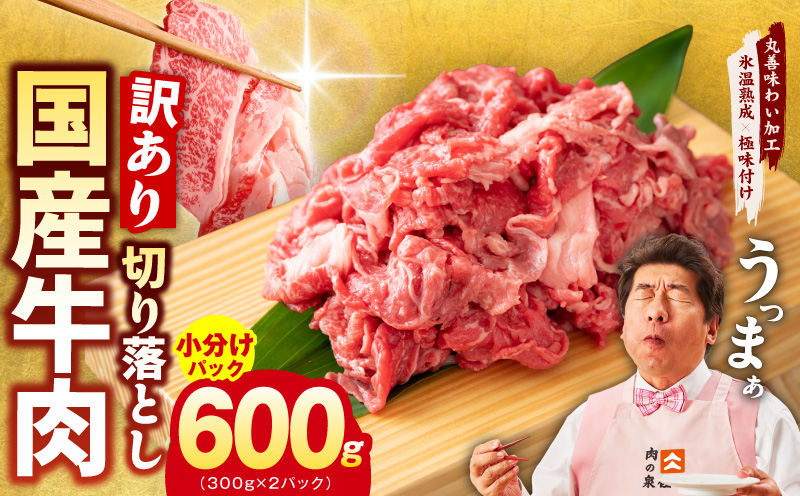 国産牛 切り落とし 600g 小分け 300g×2P【氷温熟成×極味付け 国産 牛肉 訳あり サイズ不揃い カレー 牛丼 野菜炒め 肉じゃが 家計応援】 mrz0360