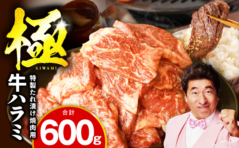 【お試し】牛肉 ハラミ 600g（300g×2P）【氷温熟成×特製ダレ】 mrz0388