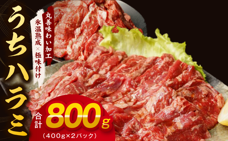 【氷温熟成×特製ダレ】希少部位 牛肉 うちハラミ 800g（400g×2） mrz0398