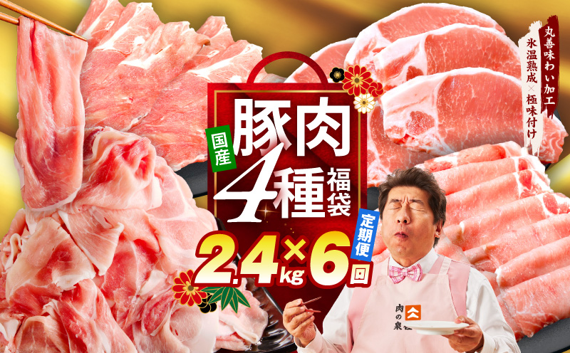 国産豚肉 4種 定期便 2.4kg×6回【氷温熟成×極味付け 小分け 300gパック ぶたにく 普段使い 野菜炒め 切り落とし 毎月配送コース】 mrzZ025