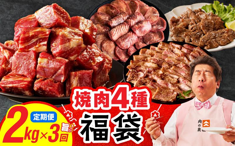 焼肉 福袋 4種セット 定期便 2kg×3回【氷温熟成×特製ダレ 食べ比べ 小分け 500g 牛肉 牛タン ヒレ ハラミ バラ 数量限定 毎月配送コース】 mrzZ027