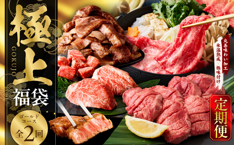極上福袋 定期便 ゴールドコース 全2回【5種 食べ比べ 牛肉 ステーキ 牛タン 焼肉 しゃぶしゃぶ すき焼き 氷温熟成×極味付け 毎月配送コース】 mrzZ029