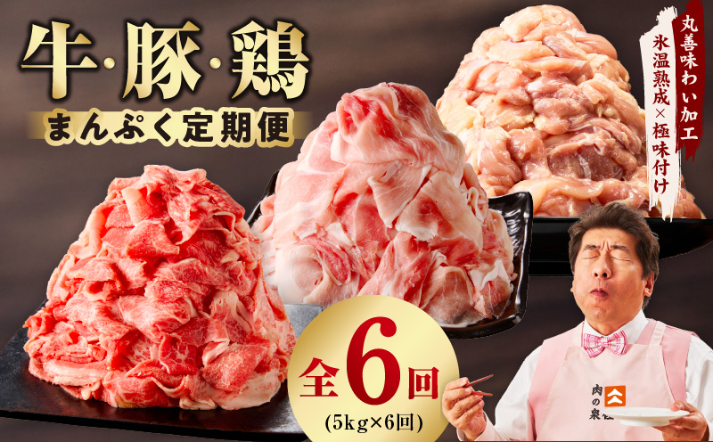 国産 牛肉＆豚肉＆鶏肉 まんぷく 定期便 5kg×6回【氷温熟成×極味付け 3種 食べ比べ 普段使い 味付き 小分け 訳あり サイズ不揃い 】 mrzZ032