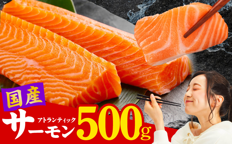 国産アトランティックサーモン 500g ポーション【小分け 真空パック 訳あり サイズ不揃い 刺身 海鮮丼 さーもん 鮭 さけ シャケ しゃけ 冷凍】 nbj0010