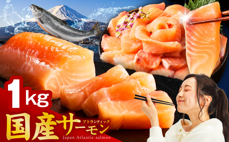 国産アトランティックサーモン 1kg ポーション【小分け 真空パック 訳あり サイズ不揃い 刺身 海鮮丼 さーもん 鮭 さけ シャケ しゃけ 冷凍】 nbj0011