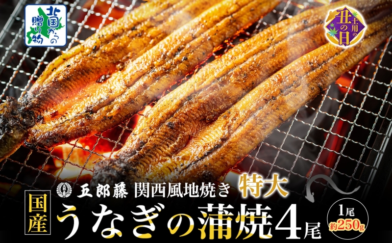 [7/26土用の丑の日]国産有頭旨鰻 250g×4尾 特大サイズ[関西風地焼き 老舗 五郎藤 うなぎ 1kg 小分け unagi ひつまぶし 簡単調理] 099H4344d