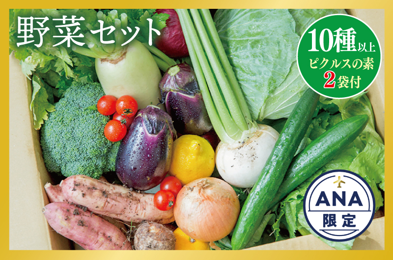 [ANA限定]＼厳選10種以上/新鮮野菜セット ピクルスの素 2袋付き ANAオリジナル
