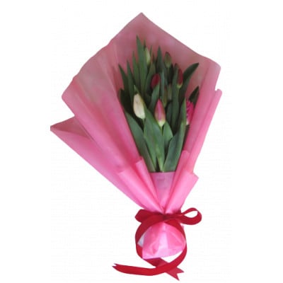 12月出荷　チューリップの花束　18本【配送不可地域：離島】