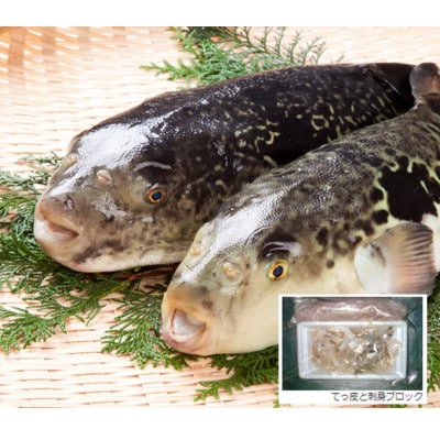 [河内とらふぐ]活き締めとらふぐ刺身用ブロック・皮の湯引き(冷蔵品・生食用)【配送不可エリア注意】【配送不可地域：離島・北海道・沖縄県・東北・関東・九州】