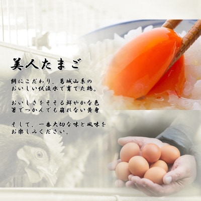 【生みたて濃厚】谷川養鶏の美人たまご　30ヶ入り(※サイズ指定できません)【配送不可地域：離島】