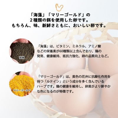 【生みたて濃厚】谷川養鶏の赤たまご　50ヶ入り(※サイズ指定できません)【配送不可地域：離島】