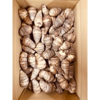 GI富田林の海老芋の孫芋 5kg×1箱