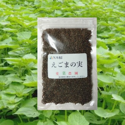 ≪50g×1≫　国産えごまの実　パックチャック(ジッパー)付き　大阪産(もん)認定品