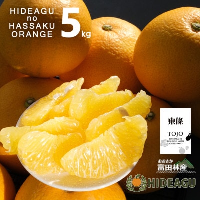 はっさく　大阪富田林市東條産5kg【ヒデアグ】東向き斜面で育てた、みずみずしく美味しい自然派八朔
