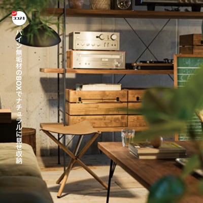 Ines Box L (イネスボックス) 【SWOF】