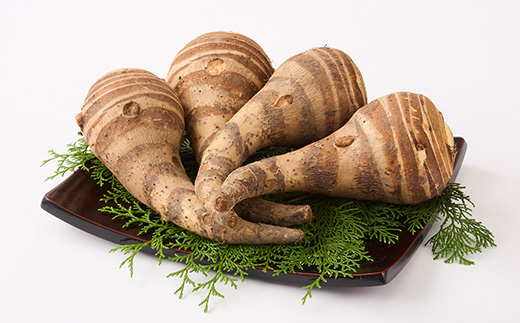 GIとんだばやしの海老芋　～令和の大嘗祭御奉納品～