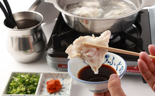 ふぐ鍋セット　国産活けとらふぐてっさ・てっちりセット約2～3人前　ヒレ付き【配送不可エリア注意】【配送不可地域：離島・北海道・沖縄県・東北・関東・九州】