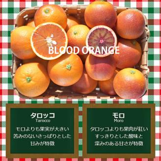 先行受付　ブラッドオレンジ 「モロ」「タロッコ」詰め合わせ約3kg