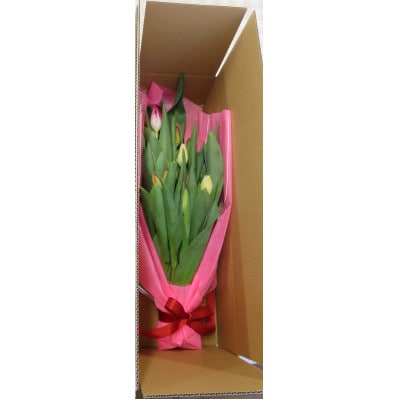 12月出荷　チューリップの花束　18本【配送不可地域：離島】