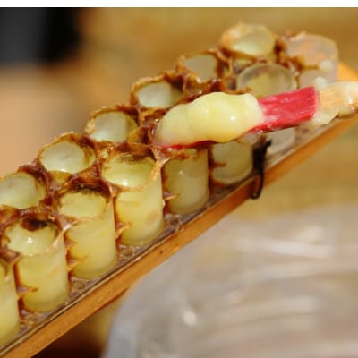 100g　国産はちみつ　生ローヤルゼリー　ローヤルゼリー専門養蜂場で採取　【配送不可地域：離島】