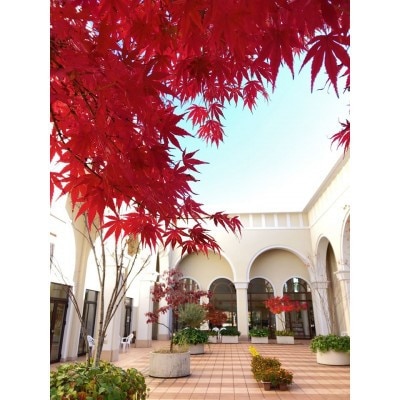 【PL病院】人間ドックAコース