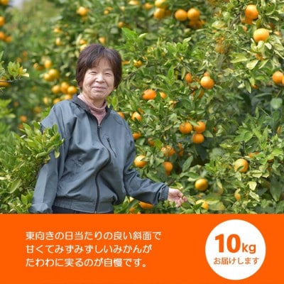 温州みかん 富田林市東條産10kg 【菊水園】 甘い美味しい みずみずしいと人気の柑橘です。