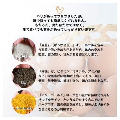 【生みたて濃厚】谷川養鶏の美人たまご　30ヶ入り(※サイズ指定できません)【配送不可地域：離島】