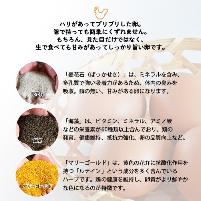 【生みたて濃厚】谷川養鶏の美人たまご　50ヶ入り(※サイズ指定できません)【配送不可地域：離島】