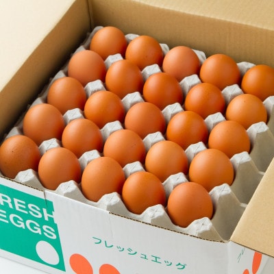 【生みたて濃厚】谷川養鶏の赤たまご　50ヶ入り(※サイズ指定できません)【配送不可地域：離島】