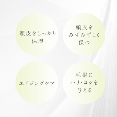 プテロ　ARシャンプー 300ml