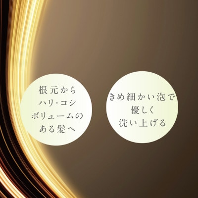 プテロ　ARシャンプー　グランディール　300ml