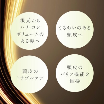 プテロ　ARヘア＆スカルプパック　グランディール