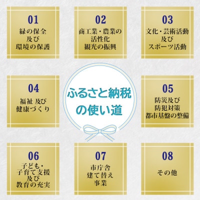 【返礼品なし】とんだばやしふるさと寄附金