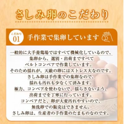大阪府富田林産　さしみ卵　産直卵40個～50個(季節により個数・サイズが変動します)