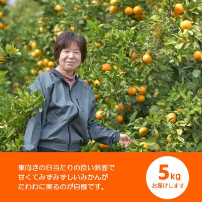 温州みかん 富田林市東條産5kg 【菊水園】 甘い美味しい みずみずしいと人気の柑橘です。
