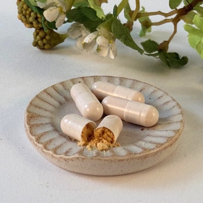 日本産100%ローヤルゼリーカプセル　ローヤルゼリー専門養蜂場アズマ養蜂場からお届けします。