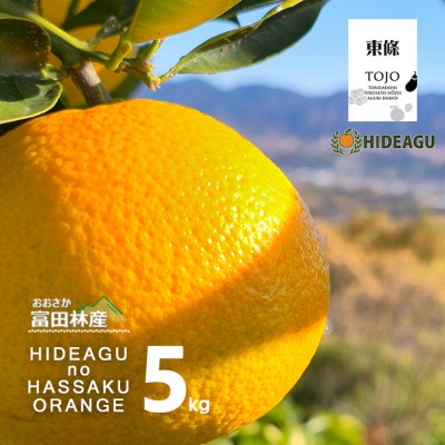はっさく　大阪富田林市東條産5kg【ヒデアグ】東向き斜面で育てた、みずみずしく美味しい自然派八朔