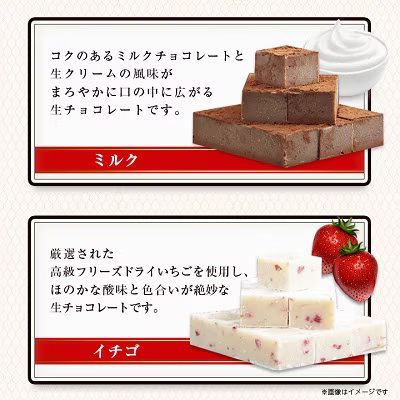 【プロ仕様】生チョコレート詰め合わせ(スイート　ミルク　イチゴ　抹茶　マンゴー)　5種類×1袋【配送不可地域：離島】