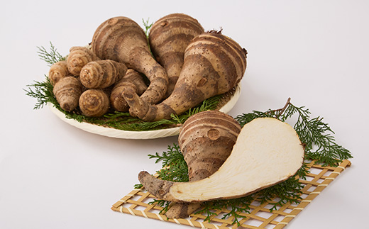 【GI認証取得】とんだばやしの海老芋　1箱(海老芋2kg・孫芋3kg)