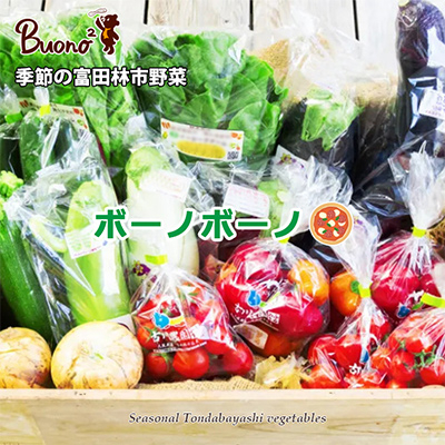 【3枚】南河内野菜たっぷりのボーノボーノピッツァ【配送不可地域：離島】