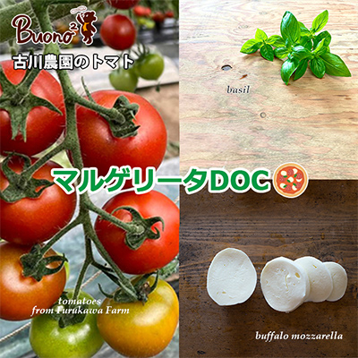 【2枚】古川農園のトマトと水牛モッツァレラチーズのマルゲリータDOC ピッツァ【配送不可地域：離島】