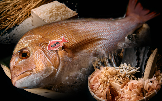 ≪京都四条 緒方≫　明石産天然真鯛と実山椒の炊き込みご飯(2合炊き用)【配送不可地域：離島】